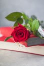 Sant Jordi, the Catalan name for Saint George Day, when it is tradition to give red roses and books in Catalonia, Spain Royalty Free Stock Photo