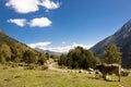 Sant Maurici National Park - Pyrenees