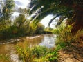 Santa Ana River near the Anaheim Wetlands Royalty Free Stock Photo