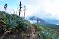 Santa Ana and Yzalco volcanos