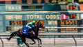 Santa Anita Park Horse Racing