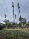 Inner courtyard of Old Mission church, Santa Barbara, CA, USA Royalty Free Stock Photo