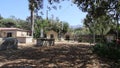 Mission Santa Barbara in Caifornia