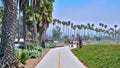 Santa Barbara Coast Line Beach Path with Palm Trees