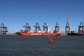 SANTA BARBARA loading and unloading containers in the Maasvlakte harbor in the Port of Rotterdam