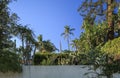 A Santa Barbara rear garden with plaster wall Royalty Free Stock Photo