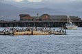 Santa Barbara Stearns Wharf Perched Pelicans