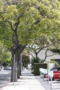 Santa Barbara street scene Royalty Free Stock Photo