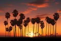 Santa Barbara sunset palm trees silhouette against the California sky Royalty Free Stock Photo