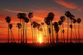 Santa Barbara sunset palm trees silhouette against the California sky Royalty Free Stock Photo