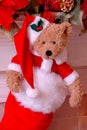 Santa Bear Christmas Stocking Royalty Free Stock Photo