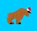 Santa bull 2021 Year symbol. Christmas and new year illustration. year of cow