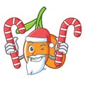 Santa with candy buckthorn mascot cartoon style Royalty Free Stock Photo