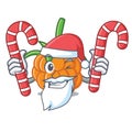 Santa with candy cloudberry mascot cartoon style Royalty Free Stock Photo