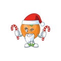 Santa with candy cute persimmon cartoon style with mascot