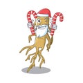 Santa with candy ginseng in the a cartoon shape