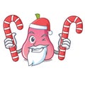 Santa with candy rose apple mascot cartoon