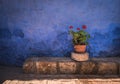 Santa Catalina Monastery, Arequipa, Peru Royalty Free Stock Photo