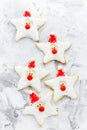 Santa Christmas cookies Royalty Free Stock Photo