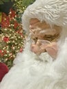 SANTA CLAUS, Animatronic , Christmas Holiday