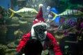 Santa Claus with aqualung under water in aquarium