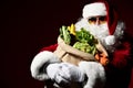 Santa Claus with a bag full of vegetables and fruits Royalty Free Stock Photo