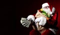 Santa Claus with a bag full of vegetables and fruits and money Royalty Free Stock Photo