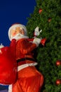 Santa Claus carrying a bag on the Christmas tree. Royalty Free Stock Photo