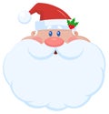 Santa Claus Cartoon Character Face Portrait