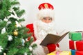 Santa Claus. Royalty Free Stock Photo