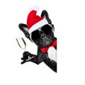 Santa claus christmas dog Royalty Free Stock Photo