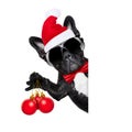 Santa claus christmas dog Royalty Free Stock Photo