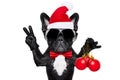 Santa claus christmas dog Royalty Free Stock Photo