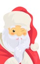 Santa Claus close up