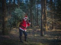 Modern Santa Claus in the pine forest with a large christmas tree.