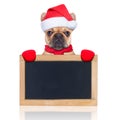 Santa claus dog Royalty Free Stock Photo