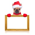 Santa claus dog Royalty Free Stock Photo