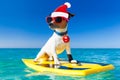 Surfer christmas santa claus dog Royalty Free Stock Photo