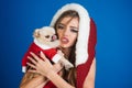 Santa Claus girl with symbol of year - dog. New year of dog. Winter  Christmas  holiday  happiness concept - girl and dog dressed Royalty Free Stock Photo