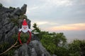 Santa Claus hair band hanging on tree branches. Royalty Free Stock Photo