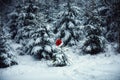 Santa Claus hat on top of a young Christmas tree in a snowy forest. Royalty Free Stock Photo