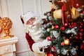 Santa Claus is hiding behind christmas tree to hide giftboxes. New year and Merry Christmas holidays concep