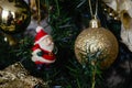 Santa Claus with his red cap, white beard and mustache, black belt, decorates the Christmas tree, hanging by a golden cord, in the Royalty Free Stock Photo