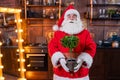 Santa claus holding a potted houseplant for christmas. Royalty Free Stock Photo