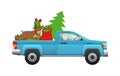 Santa Claus hurry on party. Santa driving pickup loaded with Christmas tree, sack of gifts and reindeer flat vector illustration