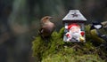 Santa Claus. Lantern with the image of Santa Claus with birds i nature Royalty Free Stock Photo