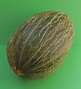 Santa Claus Melon Royalty Free Stock Photo