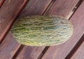 Santa Claus Melon Royalty Free Stock Photo