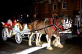 Santa Claus and Mrs. Claus Riding in a Carriage