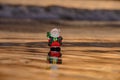 Santa Claus on sea beach. Happy New Year and merry Christmas travel, tropical vacations concept. Royalty Free Stock Photo